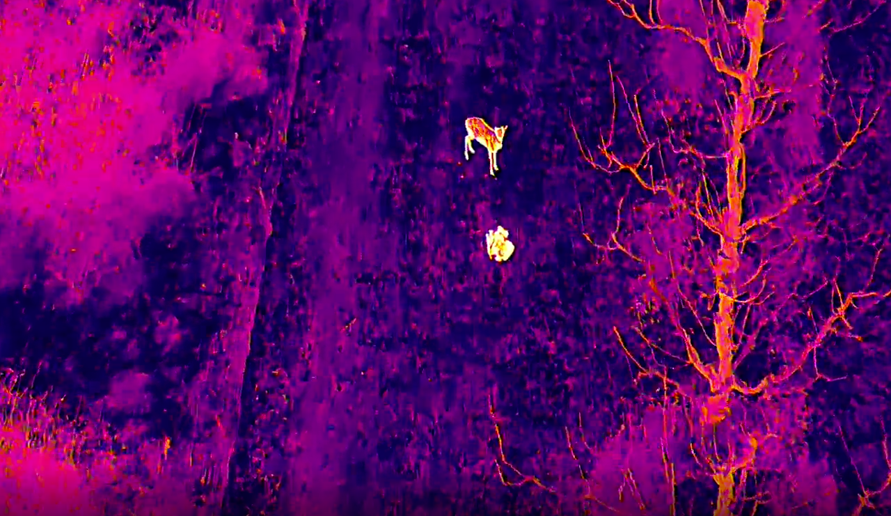 Thermal Imaging